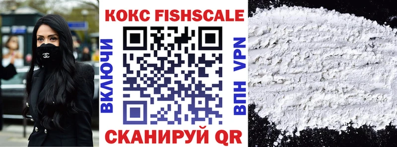 COCAIN Fish Scale  площадка официальный сайт  Сунжа 