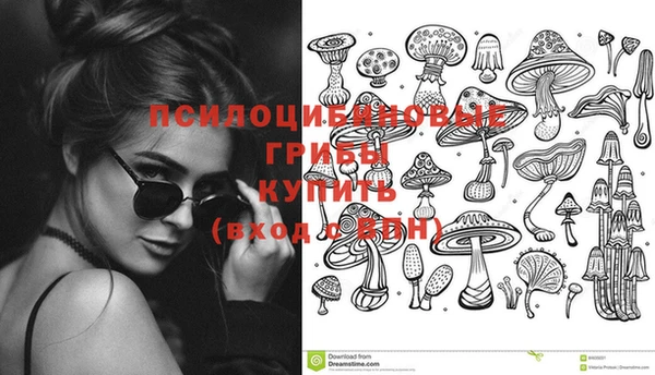 эйфоретик Баксан