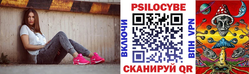 нарко площадка клад  купить наркоту  Сунжа  Галлюциногенные грибы Psilocybine cubensis 